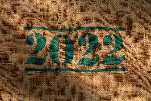 Declaración renta 2022