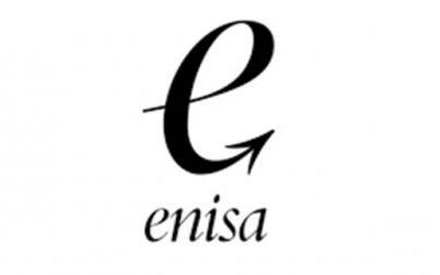 Ayudas de ENISA para emprendedores. ¡Consigue tu préstamo!